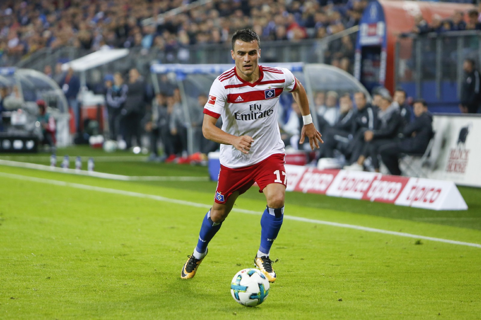 kostic HSV